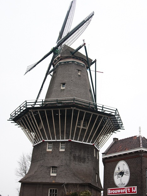 Drinking in Amsterdam