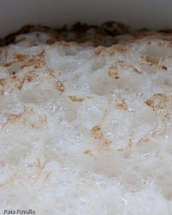 Fermenting
